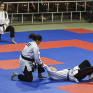 Kelemen-Ryu Ju Jitsu Bemutató a Nemzeti Sportcsarnokban